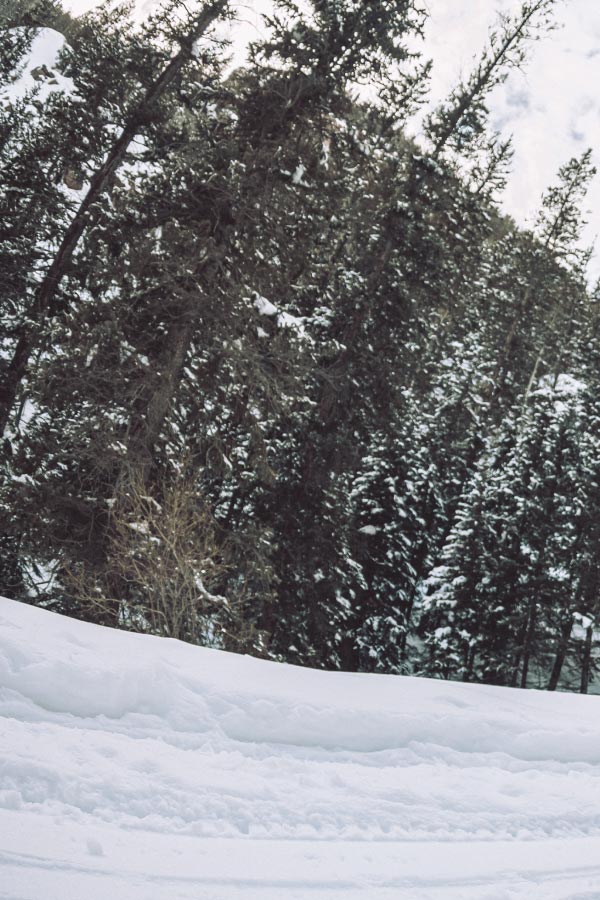 Snowy landscape